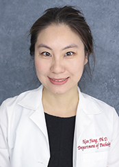 Nan Jiang, PhD profile image